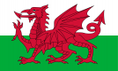 威尔斯国旗